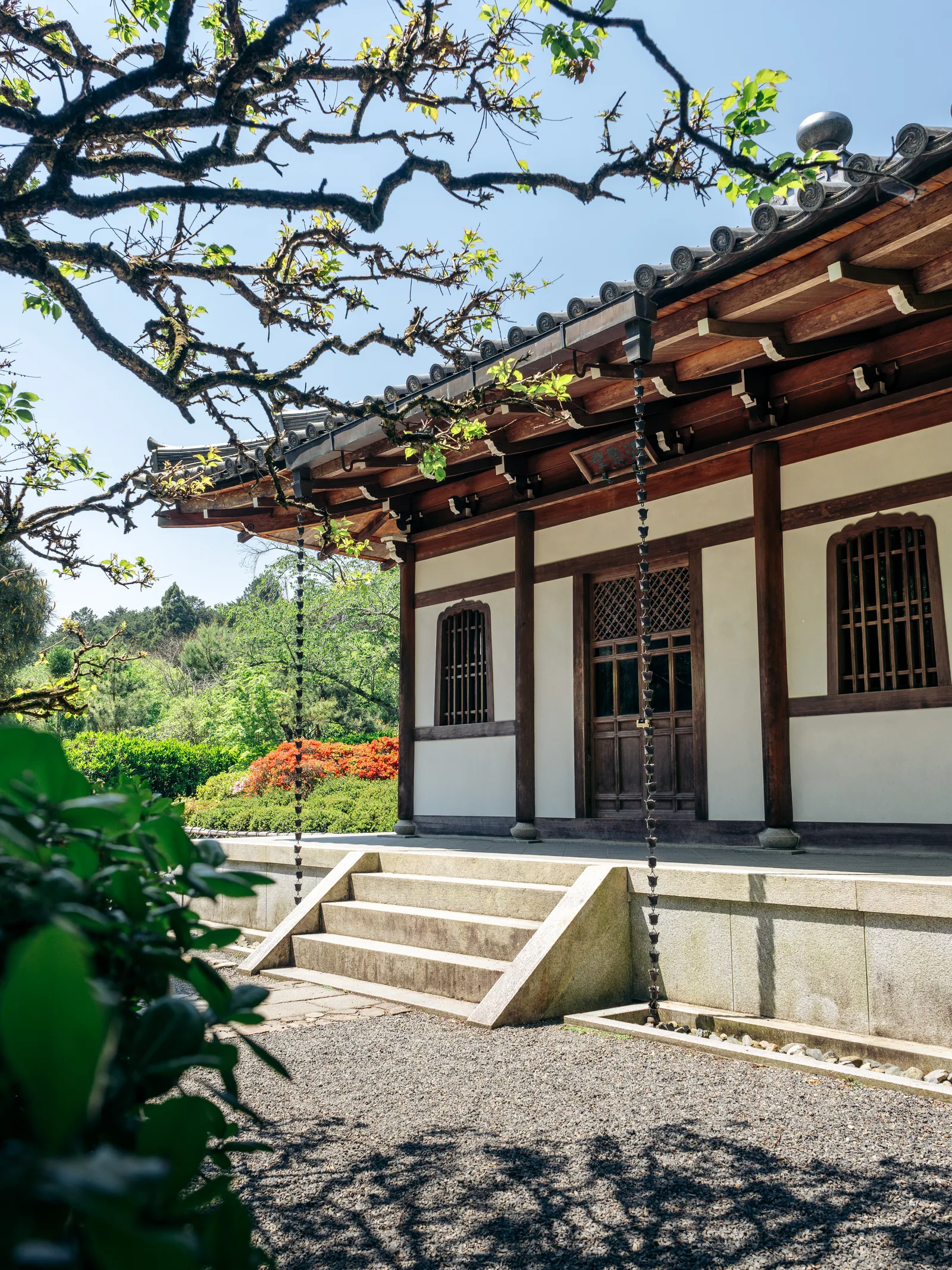 Japon, photo 6