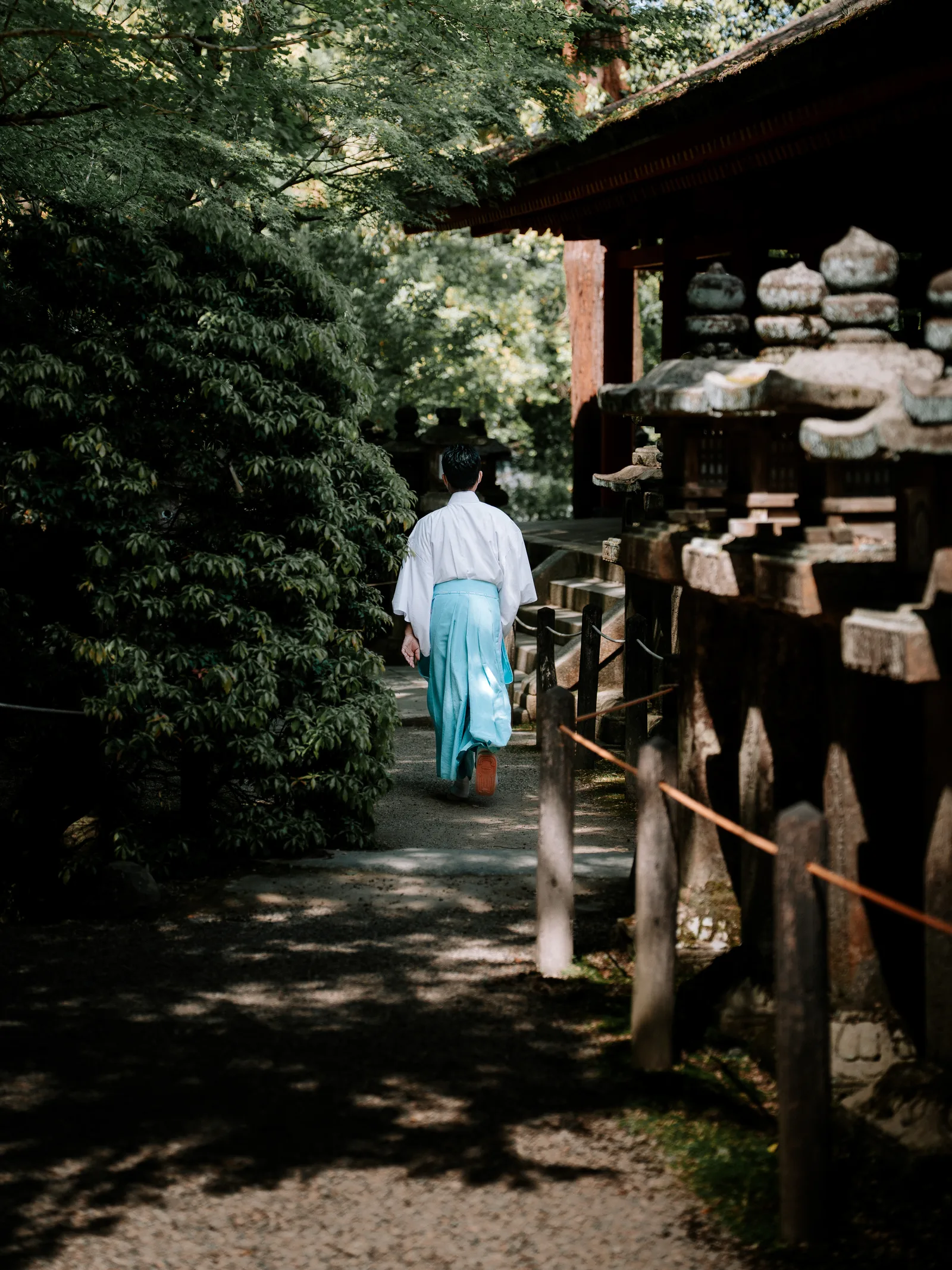 Japon — photo 63