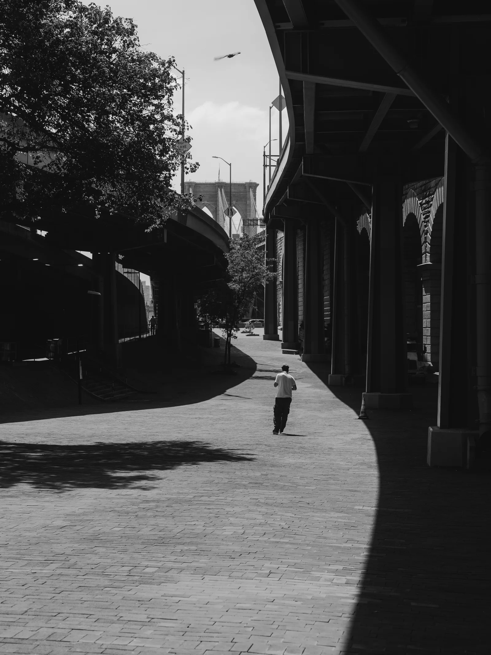 New York — photo 9